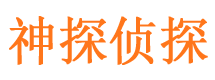 河池市婚姻调查